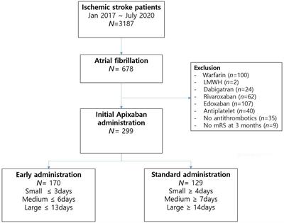 Early apixaban administration considering the size of infarction and functional outcome in acute ischemic stroke